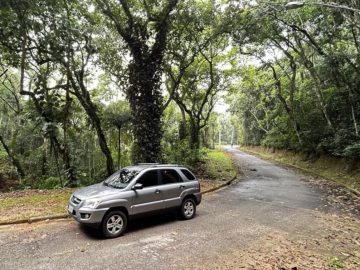 Terreno em Condomnio  Venda